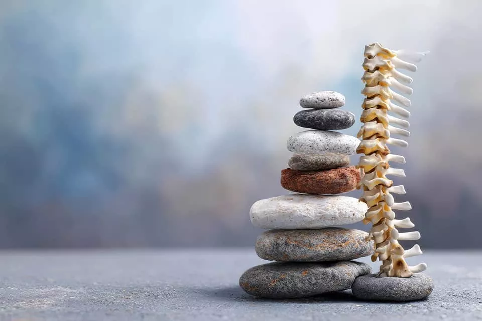 Stabilisierung der Wirbelsäule